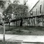 Il Giardino di Via Biblioteca, 1982 - Iniziano i lavori del progetto di GDC
