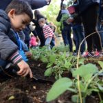 Caccia al Tesoro 2014 - Giardino di via Biblioteca