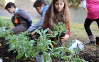 Caccia al Tesoro 2014 - Giardino di via Biblioteca