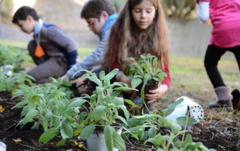 Caccia al Tesoro 2014 - Giardino di via Biblioteca