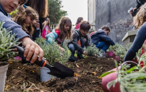 La caccia al tesoro di Natale - Giardino di Via Biblioteca