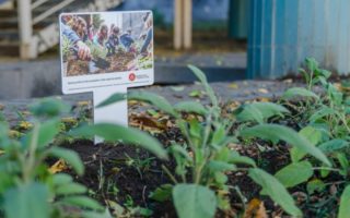 Colazione in Giardino - Giardino Di Via Biblioteca