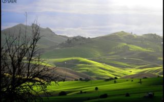 foto di Giulia Furneri